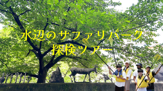 水辺のサファリパーク探検ツアー